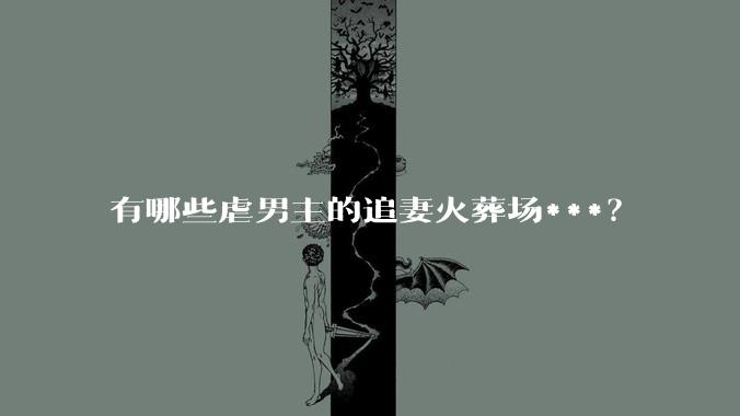有哪些虐男主的追妻火葬场***？