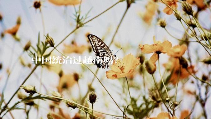 中国统治过越南吗？